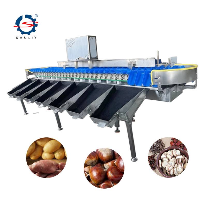 Automatische fruitsorteermachine